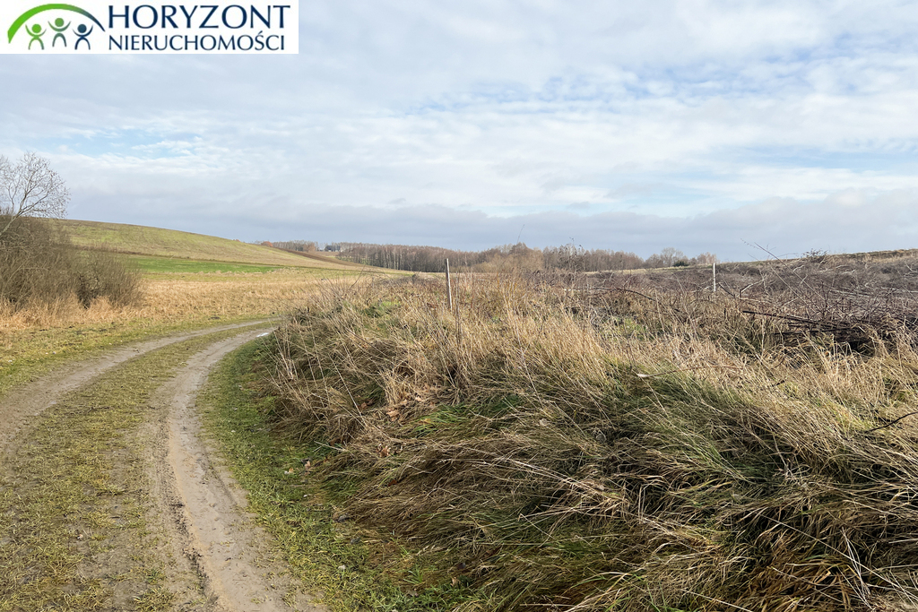 Działka budowlana 1183&nbsp;m², Lisewiec - zdjęcie 2