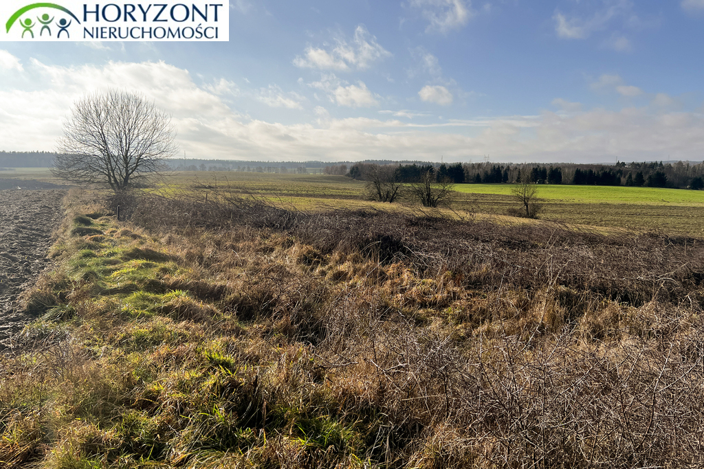 Działka budowlana 1255&nbsp;m², Lisewiec - zdjęcie 5