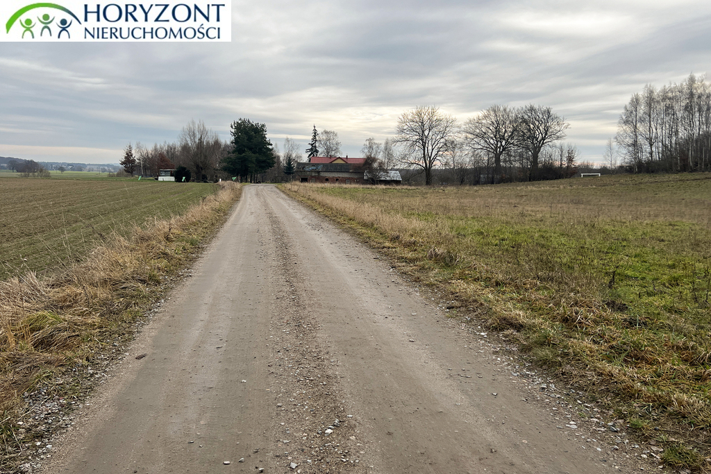 Działka budowlana 3300 m², Lisewiec - zdjęcie 9