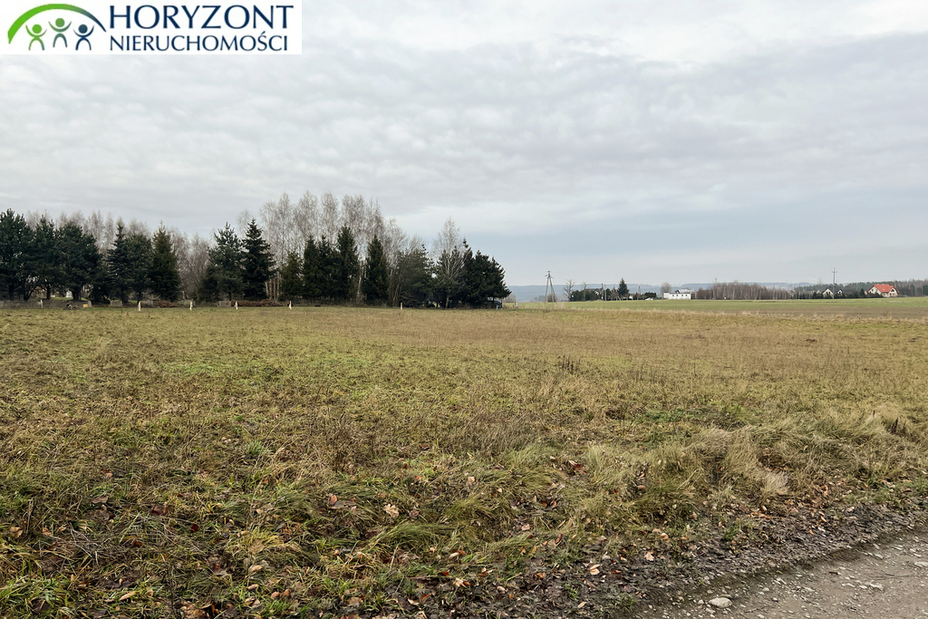 Działka budowlana 3300 m², Lisewiec - zdjęcie 2