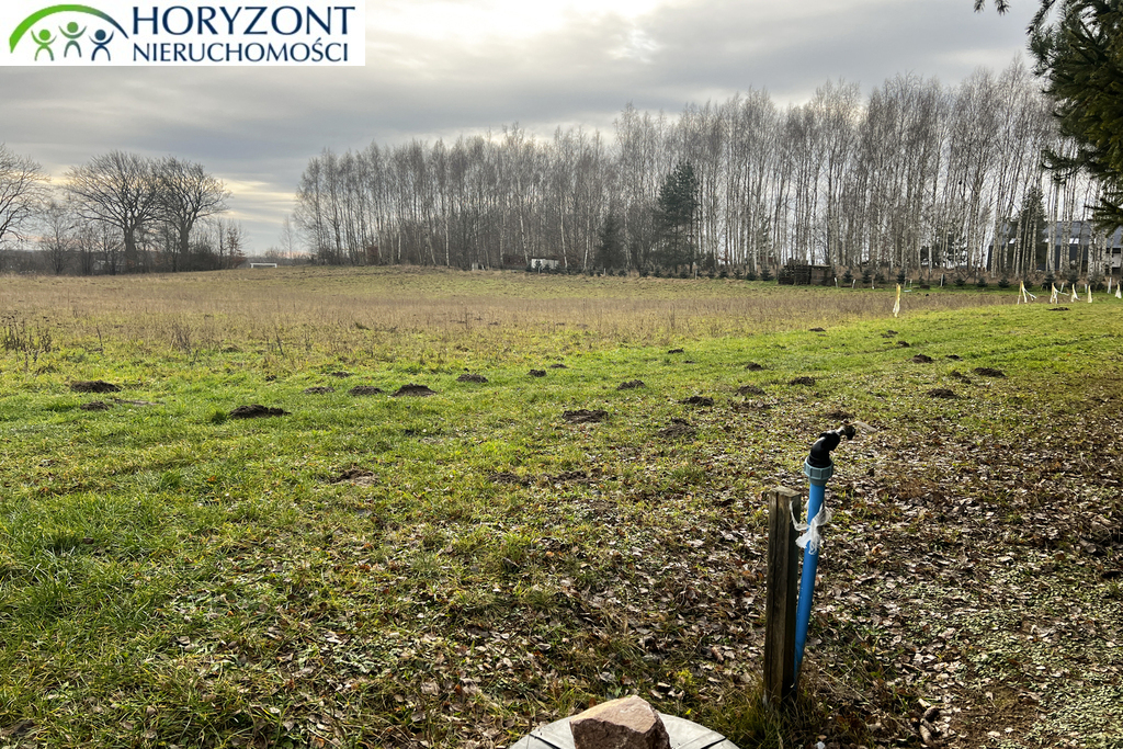 Działka budowlana 3300 m², Lisewiec - zdjęcie 1