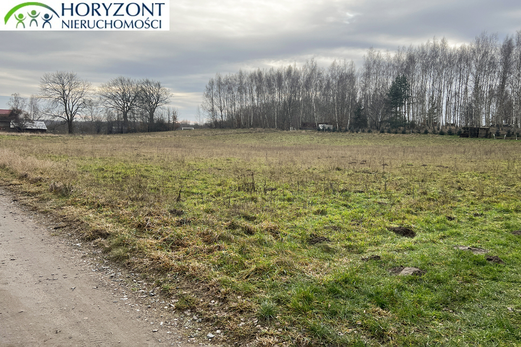 Działka budowlana 3300 m², Lisewiec - zdjęcie 8