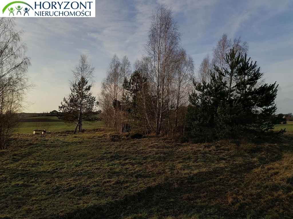 Działka budowlana 3623&nbsp;m², Szarłata - zdjęcie 3