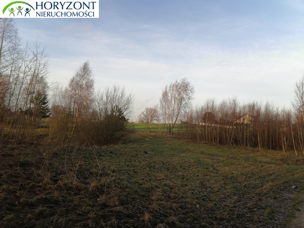 Działka budowlana 3623&nbsp;m², Szarłata - zdjęcie 7