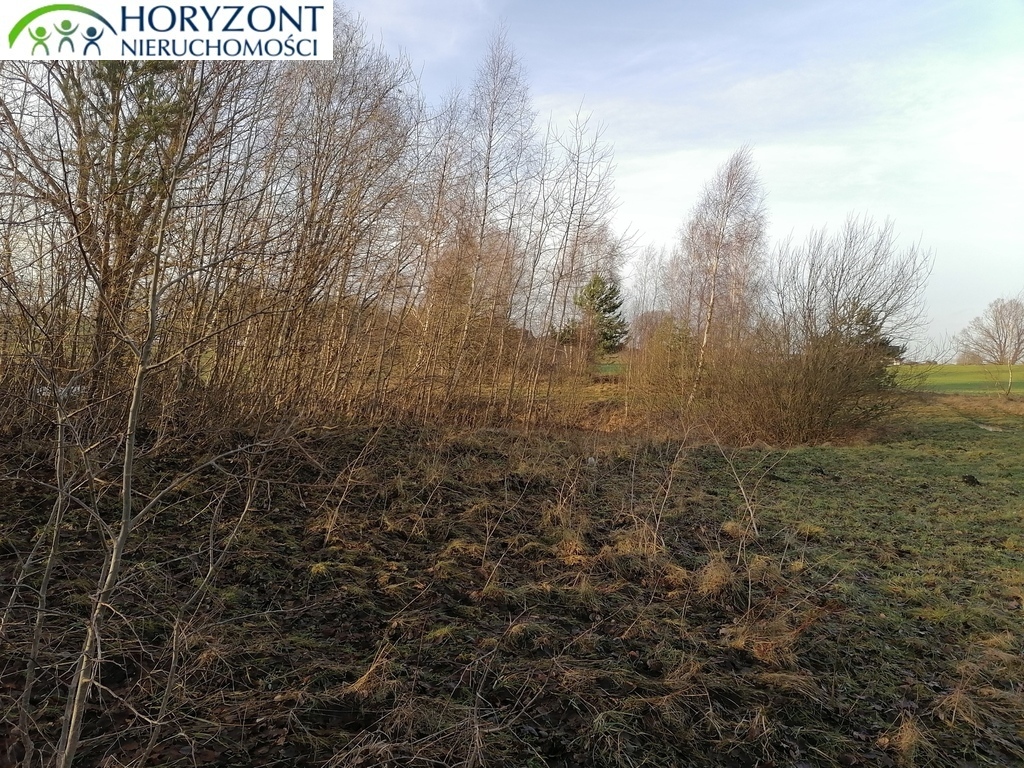 Działka budowlana 3623&nbsp;m², Szarłata - zdjęcie 1