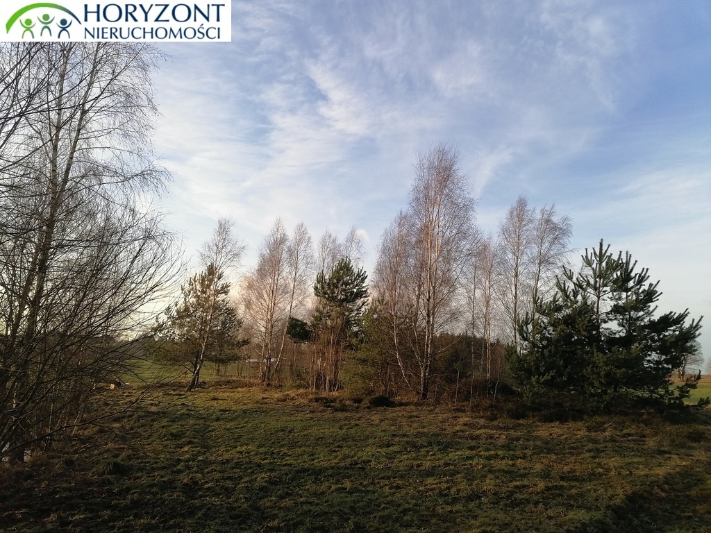 Działka budowlana 3623&nbsp;m², Szarłata - zdjęcie 2