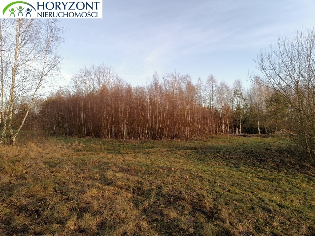Działka budowlana 3623&nbsp;m², Szarłata - zdjęcie 4