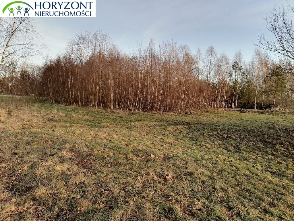 Działka budowlana 3623&nbsp;m², Szarłata - zdjęcie 6