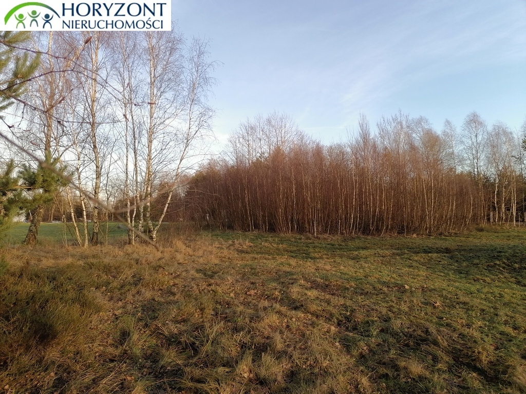 Działka budowlana 3623&nbsp;m², Szarłata - zdjęcie 5
