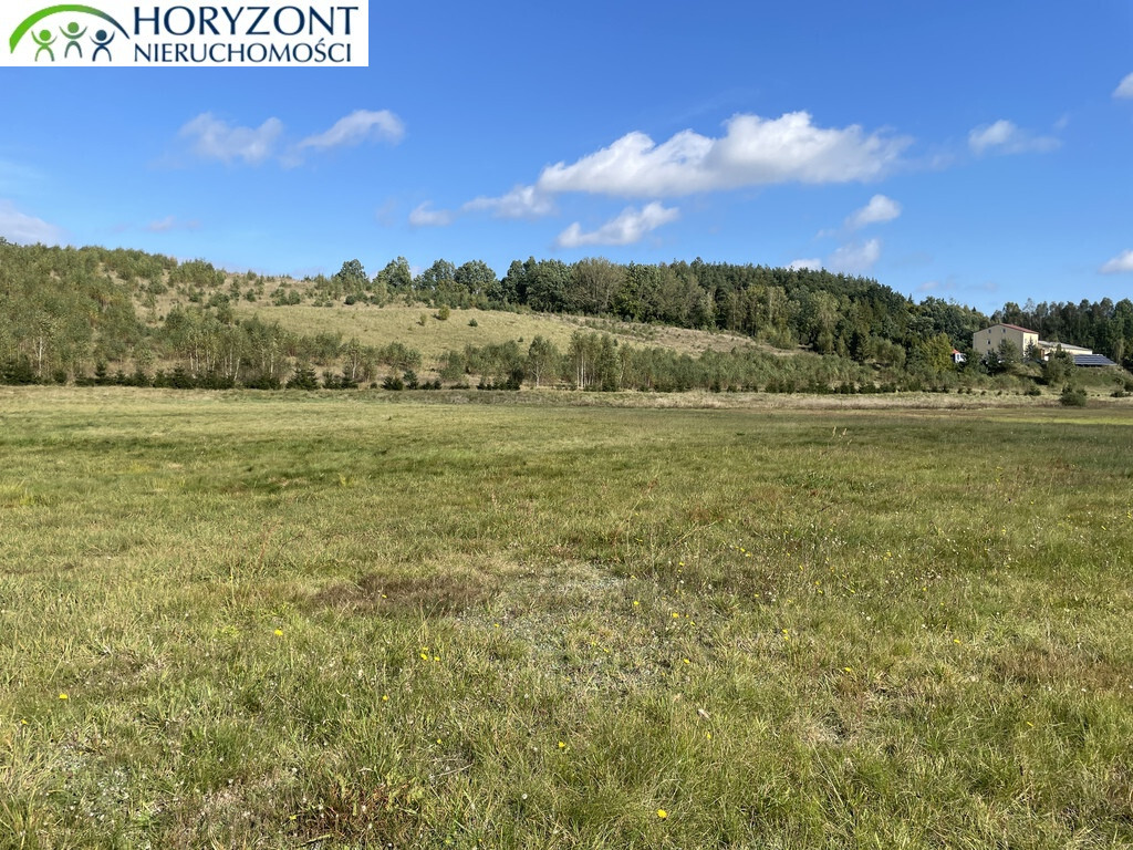 Działka budowlana 1076&nbsp;m², Donimierz - zdjęcie 6
