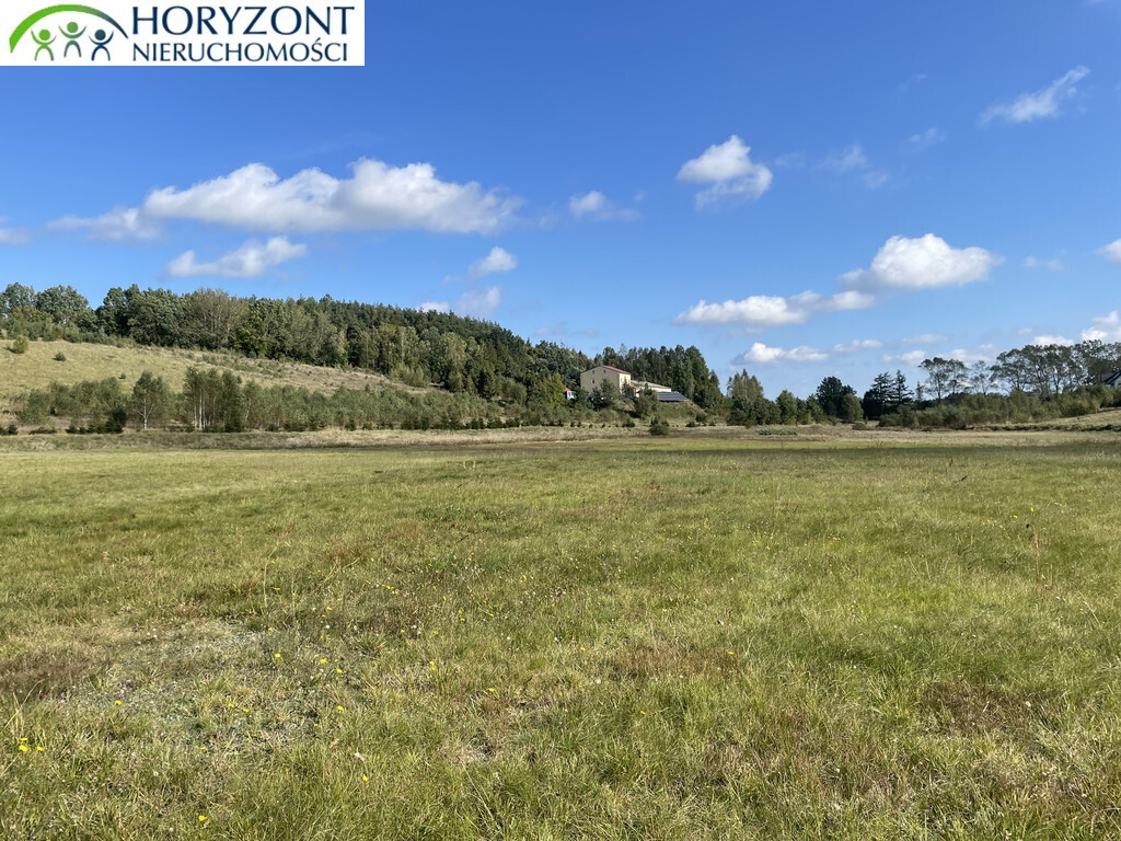 Działka budowlana 1076&nbsp;m², Donimierz - zdjęcie 7
