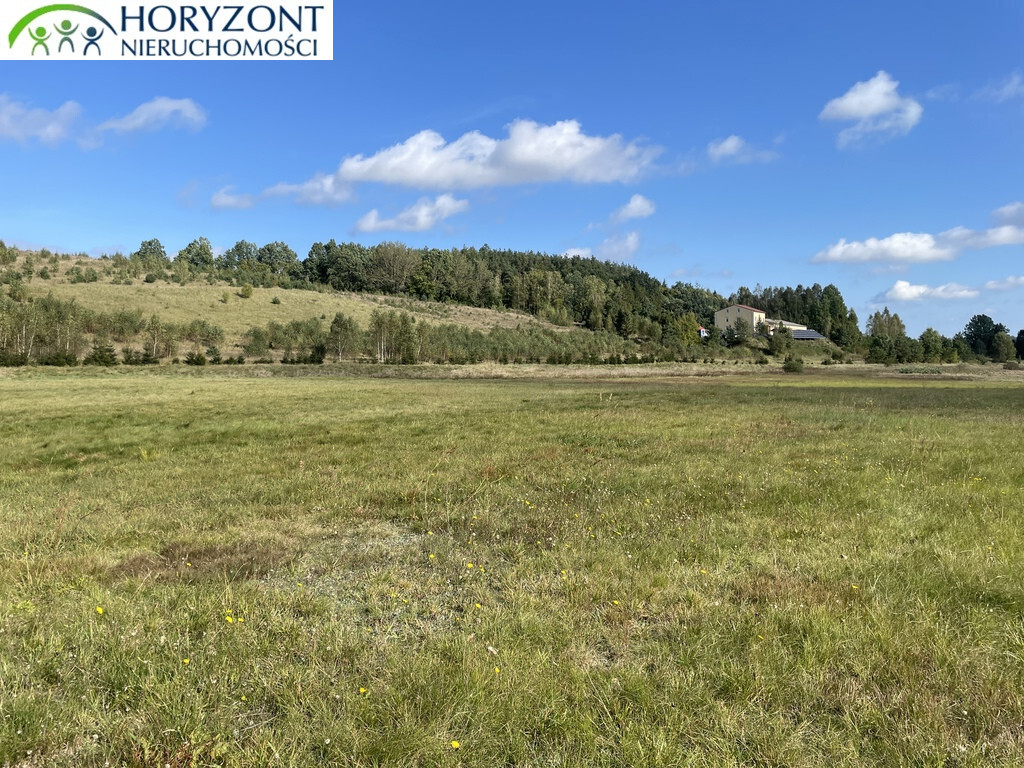 Działka budowlana 1076&nbsp;m², Donimierz - zdjęcie 2