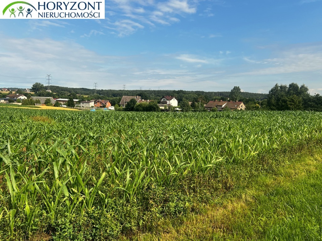 Działka budowlana 3000 m², Niestępowo - zdjęcie 1