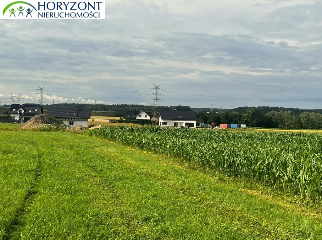 Działka budowlana 3000 m², Niestępowo - zdjęcie 2