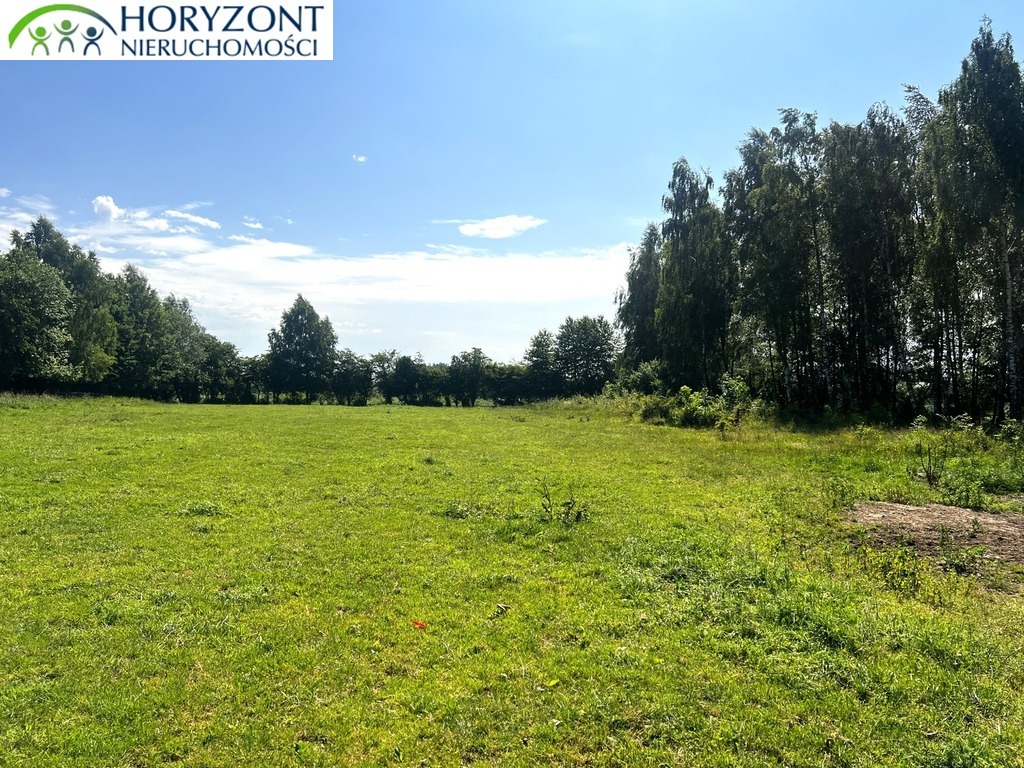 Działka budowlana 7500 m², Rybaki - zdjęcie 4