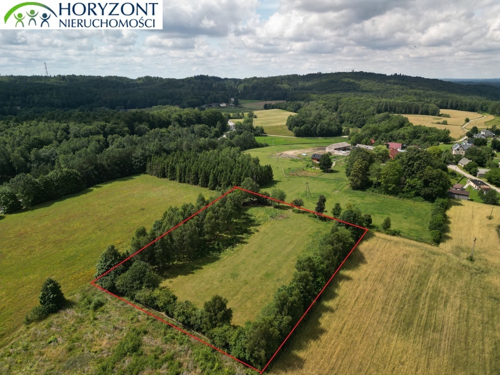 Działka budowlana 7500 m², Rybaki - zdjęcie 2