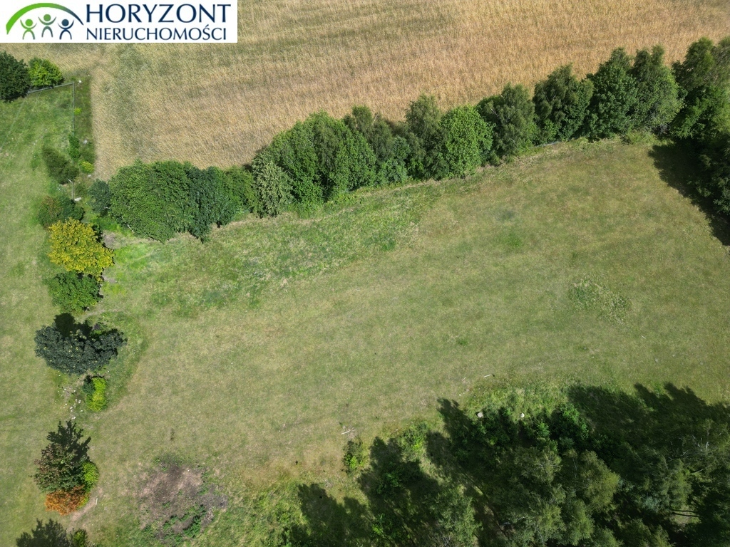 Działka budowlana 7500 m², Rybaki - zdjęcie 3
