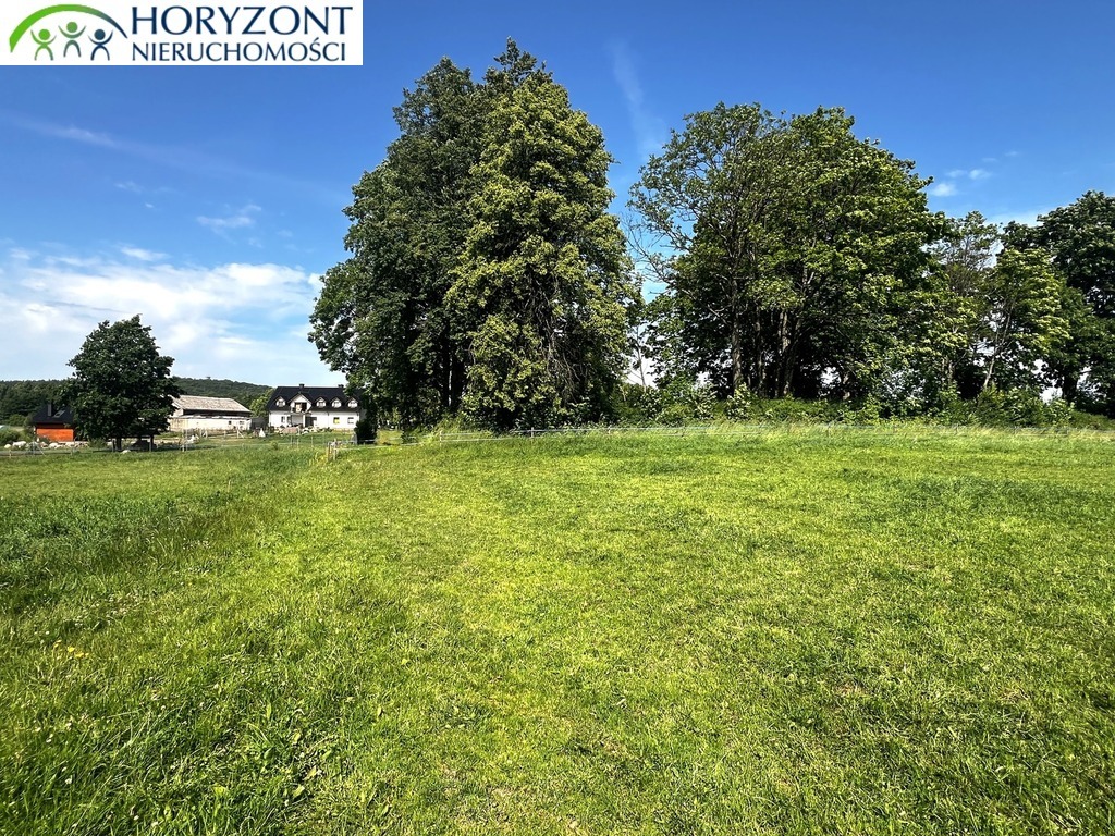 Działka budowlana 7500 m², Rybaki - zdjęcie 7