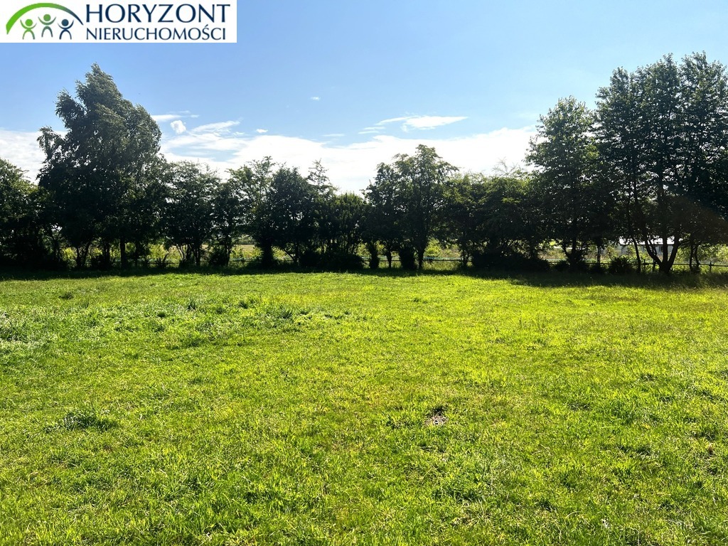 Działka budowlana 7500 m², Rybaki - zdjęcie 6