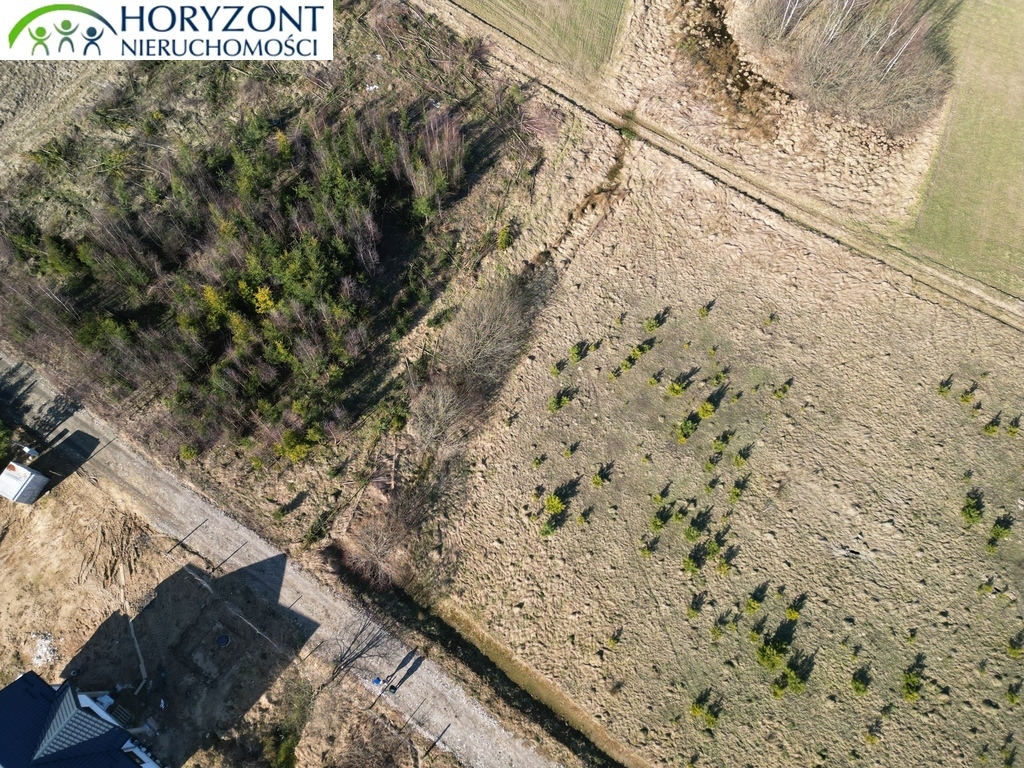 Działka budowlana 1143 m², Kolonia - zdjęcie 6
