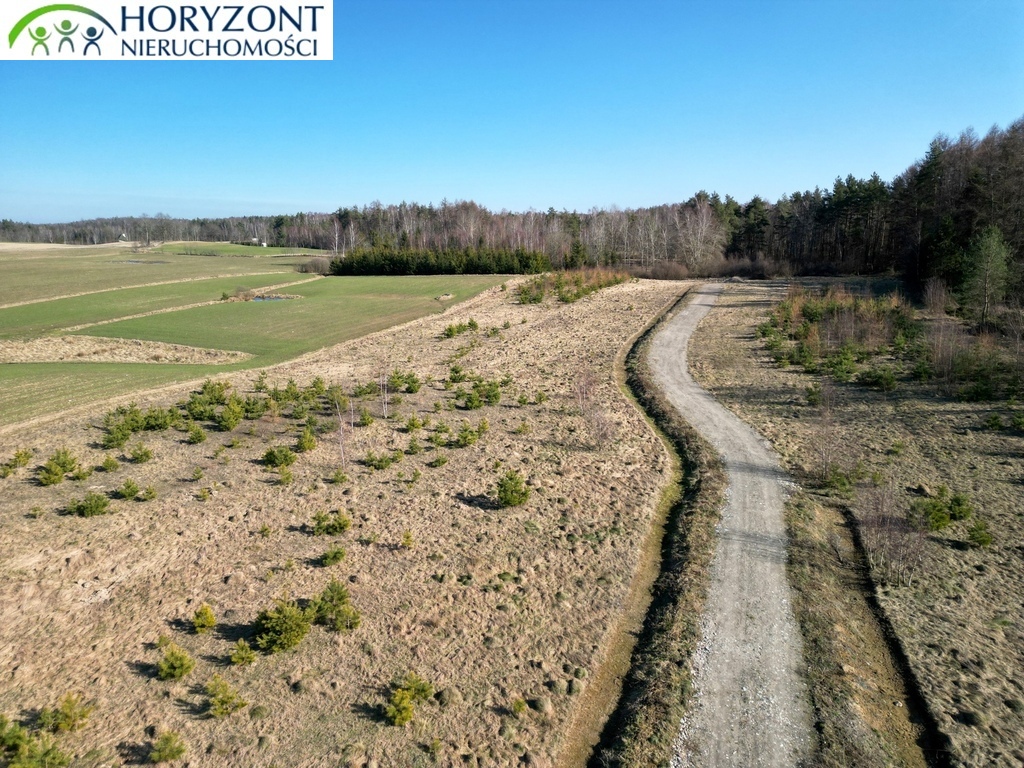 Działka budowlana 1143 m², Kolonia - zdjęcie 3