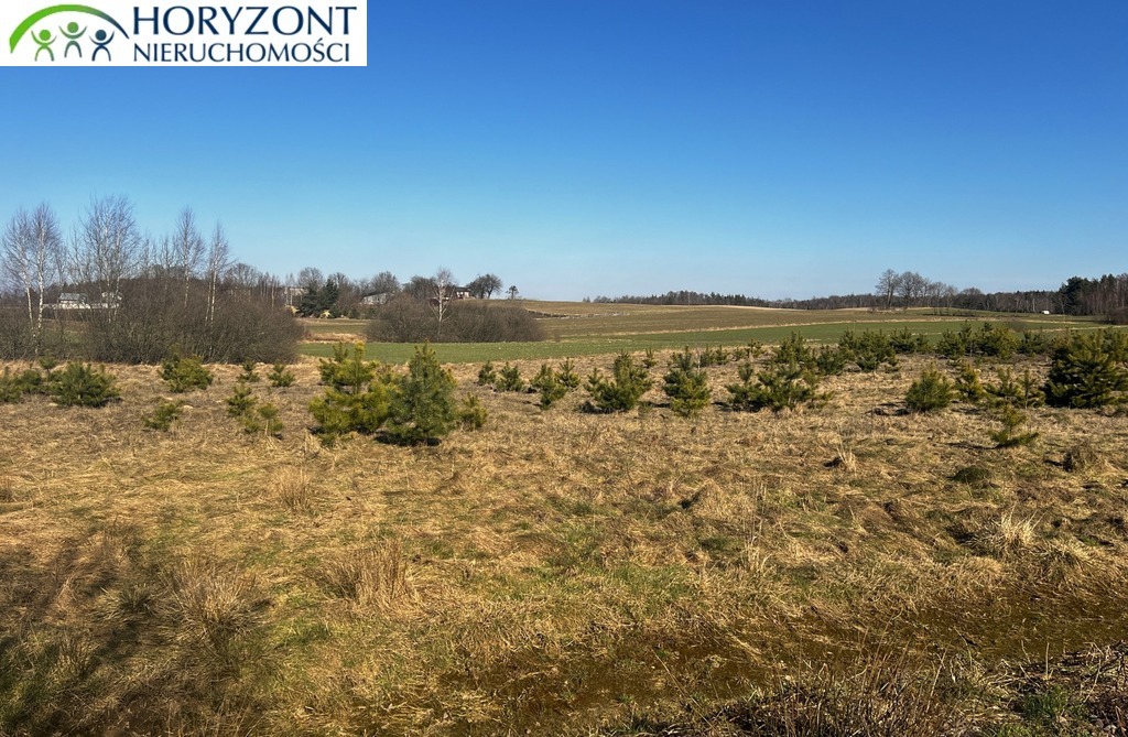 Działka budowlana 1143 m², Kolonia - zdjęcie 7