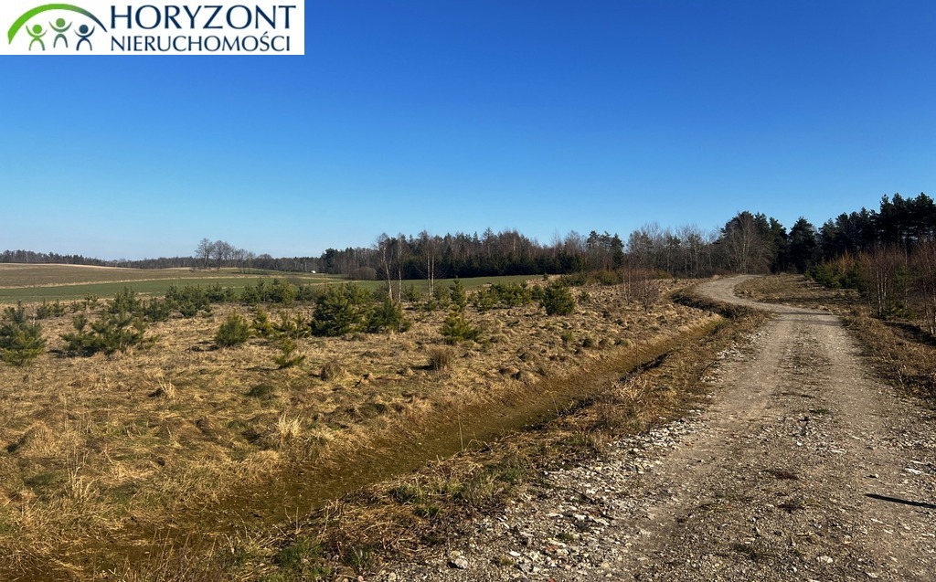 Działka budowlana 1143 m², Kolonia - zdjęcie 8