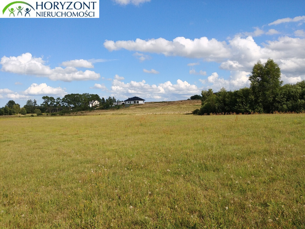 Działka rekreacyjna 6362&nbsp;m², Donimierz - zdjęcie 7