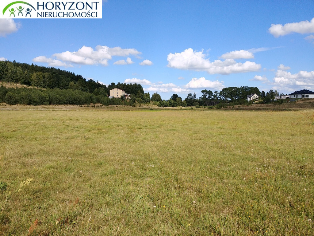 Działka rekreacyjna 6362&nbsp;m², Donimierz - zdjęcie 5