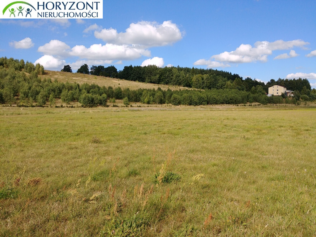 Działka rekreacyjna 6362&nbsp;m², Donimierz - zdjęcie 2