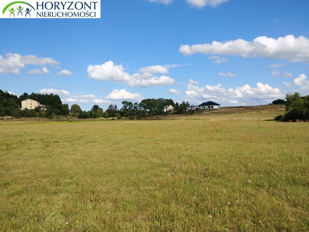 Działka rekreacyjna 6362&nbsp;m², Donimierz - zdjęcie 1