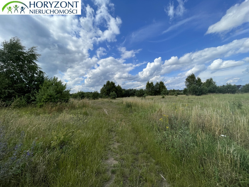 Działka budowlana 1771&nbsp;m², Bojano - zdjęcie 7