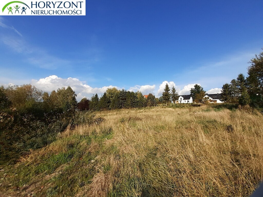 Działka budowlana 2658 m², Czaple - zdjęcie 7