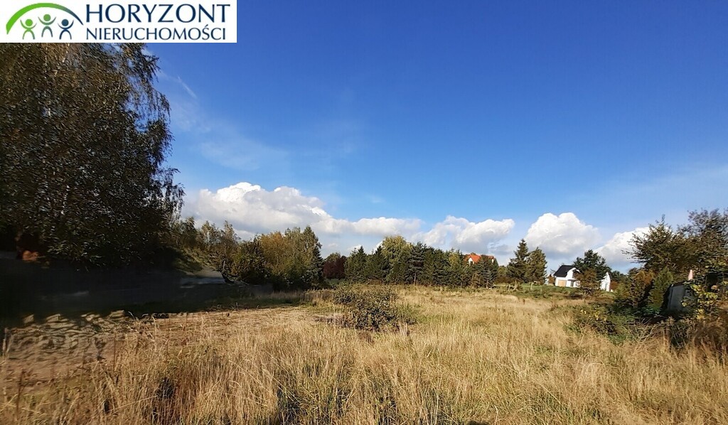 Działka budowlana 2658 m², Czaple - zdjęcie 4