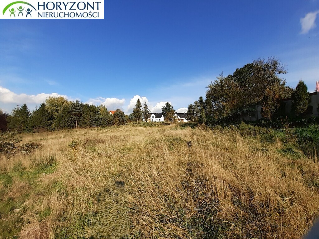 Działka budowlana 2658 m², Czaple - zdjęcie 1