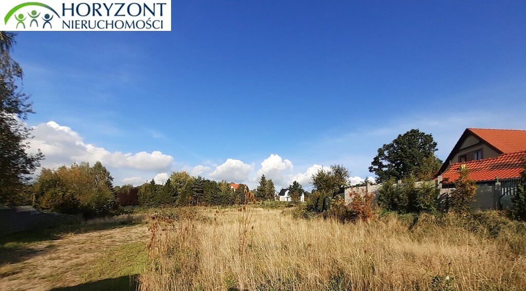 Działka budowlana 2658 m², Czaple - zdjęcie 2
