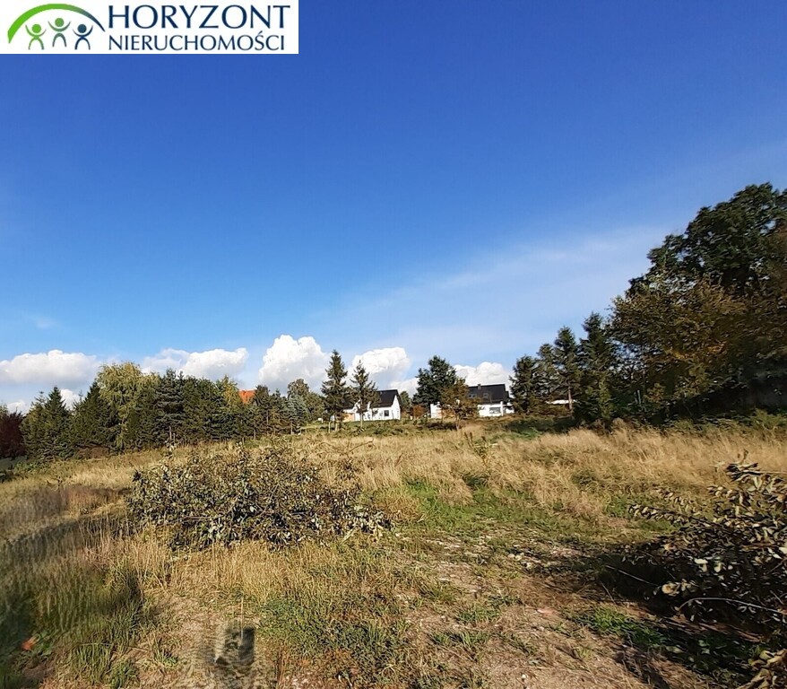 Działka budowlana 2658 m², Czaple - zdjęcie 6