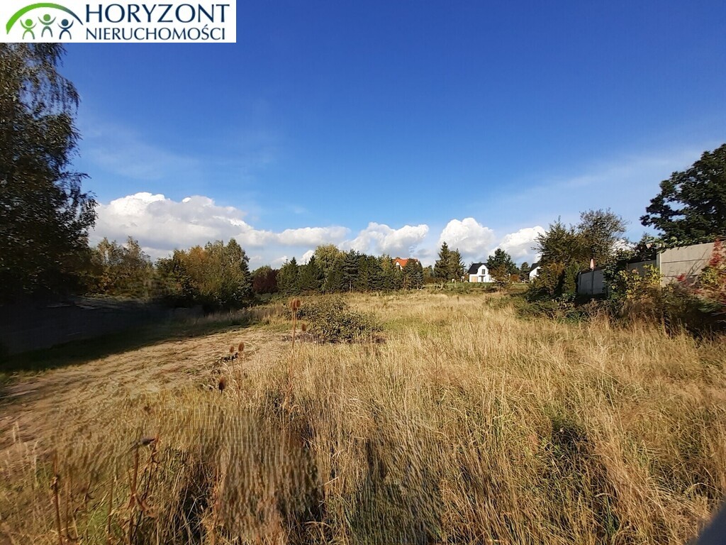 Działka budowlana 2658 m², Czaple - zdjęcie 3