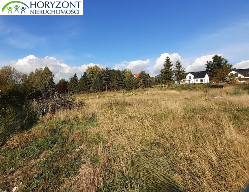 Działka budowlana 2658 m², Czaple - zdjęcie 8
