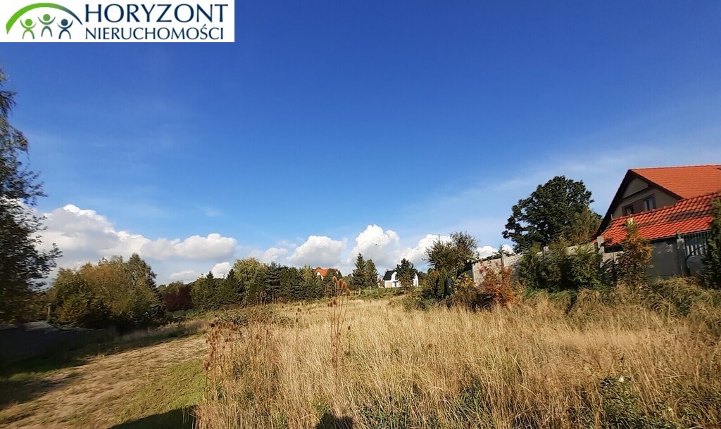 Działka budowlana 2658 m², Czaple - zdjęcie 9