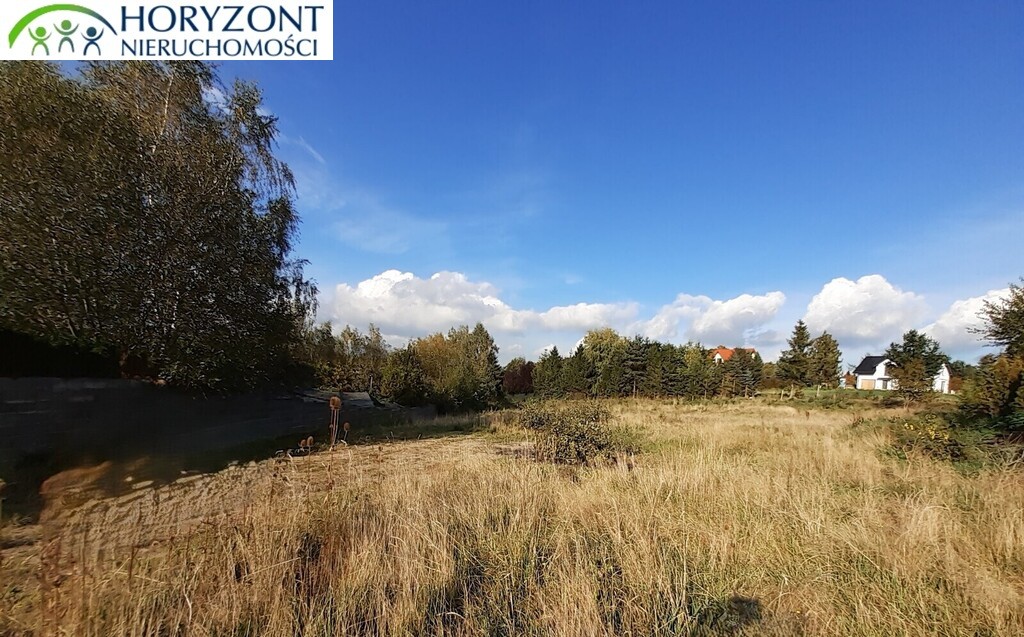 Działka budowlana 2658 m², Czaple - zdjęcie 5
