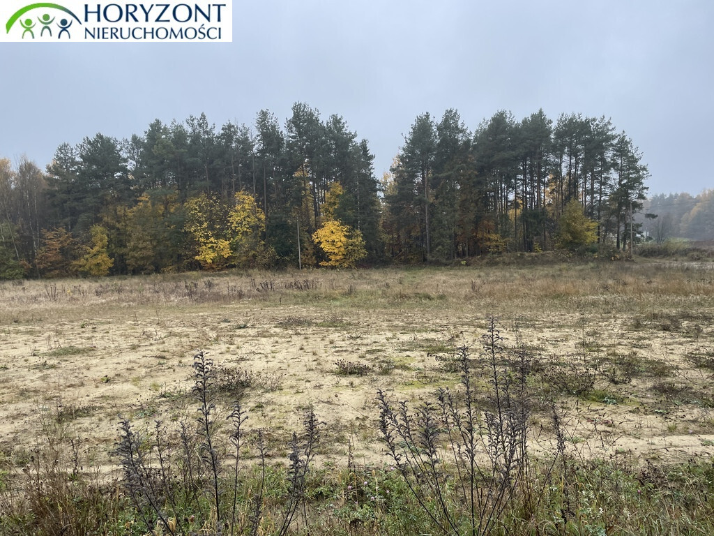 Działka budowlana 1002 m², Kamień - zdjęcie 4