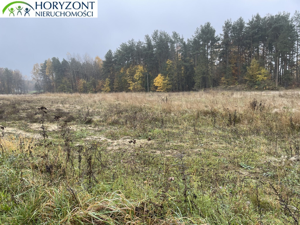 Działka budowlana 1002 m², Kamień - zdjęcie 2