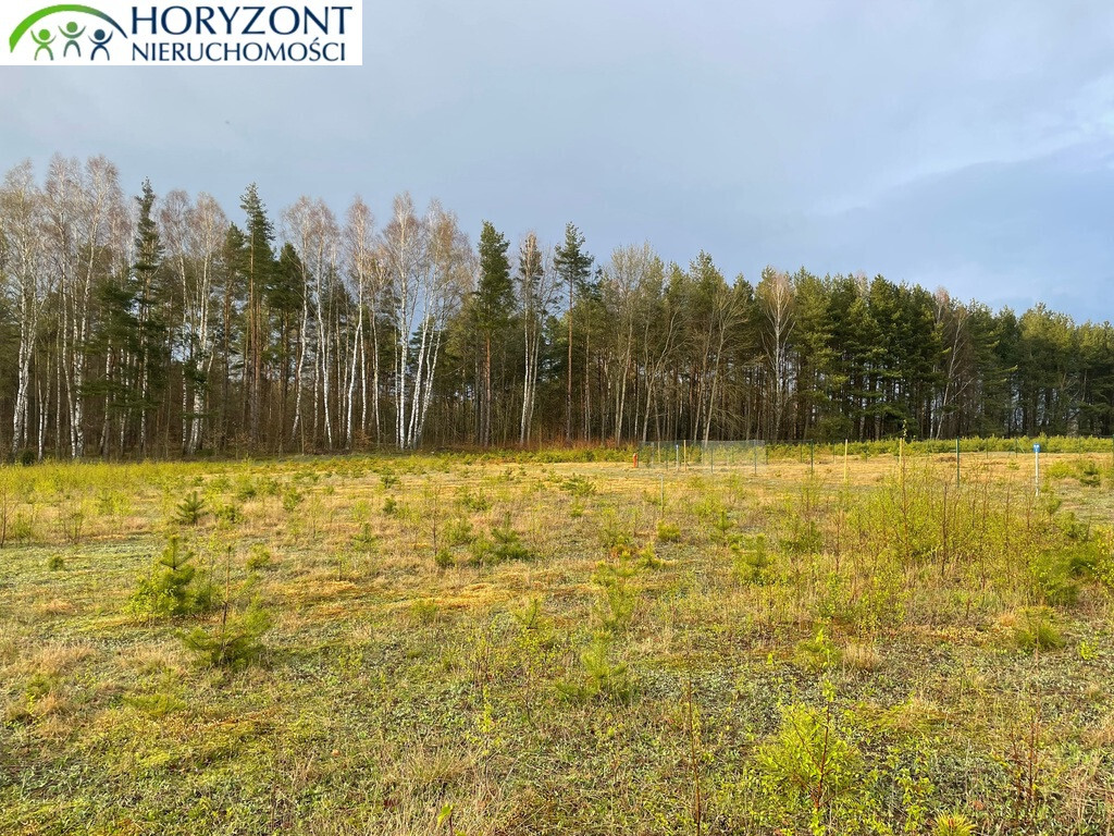 Działka budowlana 1598 m², Kamień - zdjęcie 4