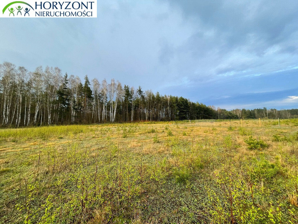 Działka budowlana 1598 m², Kamień - zdjęcie 9