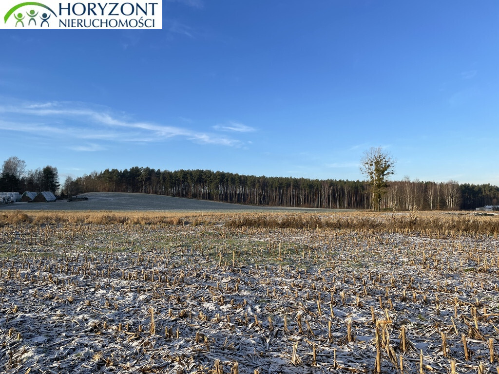 Działka budowlana 1030&nbsp;m², Bojano - zdjęcie 7