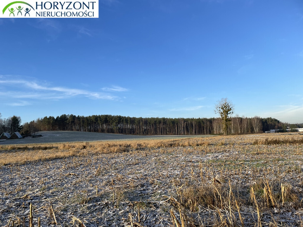 Działka budowlana 1030&nbsp;m², Bojano - zdjęcie 3