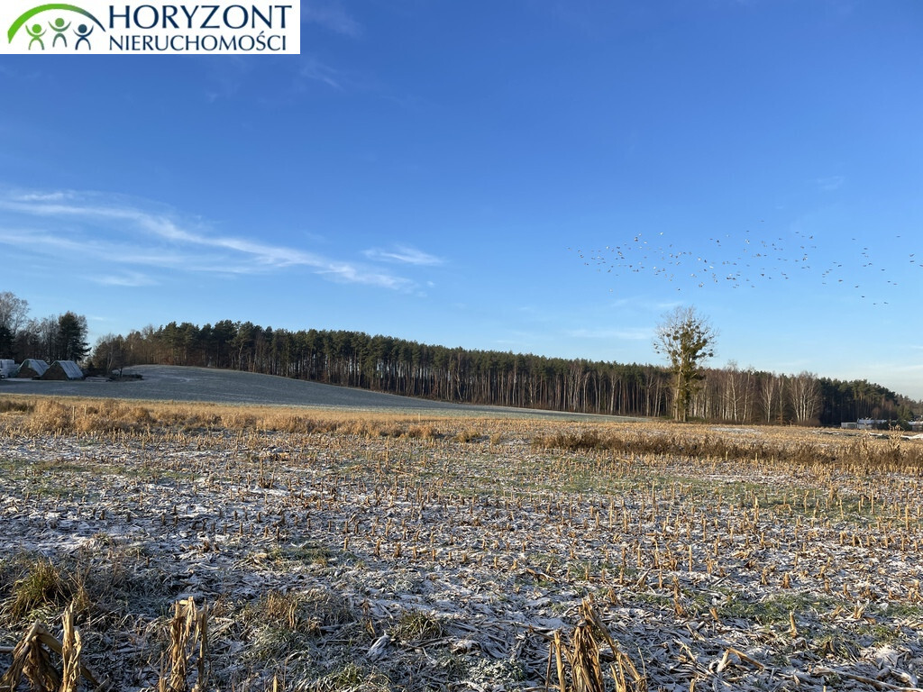 Działka budowlana 1042&nbsp;m², Bojano - zdjęcie 4