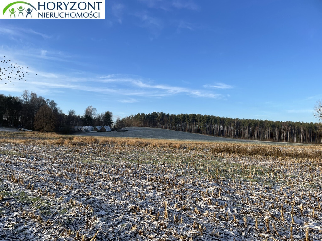 Działka budowlana 1042&nbsp;m², Bojano - zdjęcie 5
