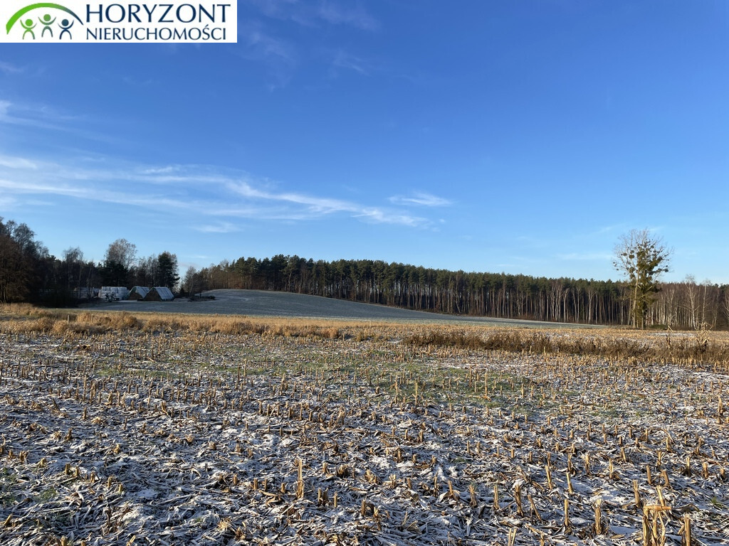 Działka budowlana 1042&nbsp;m², Bojano - zdjęcie 6